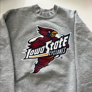 Vintage Iowa state crewneck sweatshirt